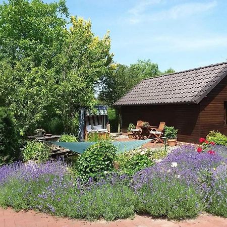 Ferienwohnung Hahn, 95129 Rhauderfehn Екстер'єр фото